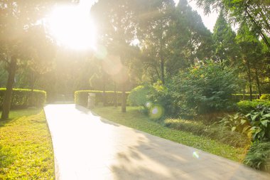Güzel güneş ışığı ve bir parkta yaya yolu üzerindeki gölge