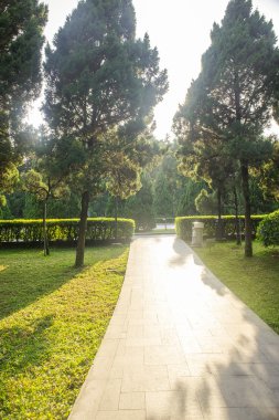 Güzel güneş ışığı ve bir parkta yaya yolu üzerindeki gölge
