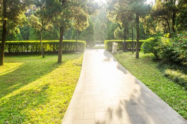 Güzel güneş ışığı ve bir parkta yaya yolu üzerindeki gölge