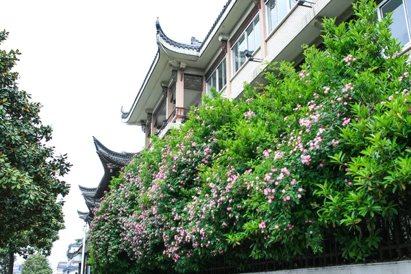 Flowers and building — Stock Photo, Image