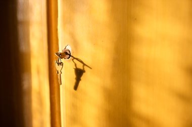 kapı ve anahtarları