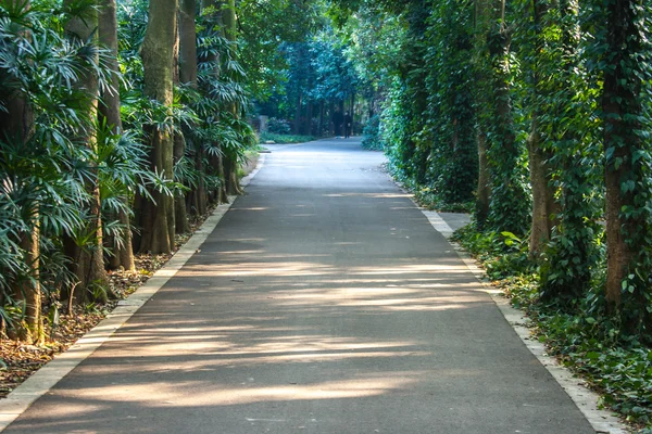 Camino en el parque —  Fotos de Stock