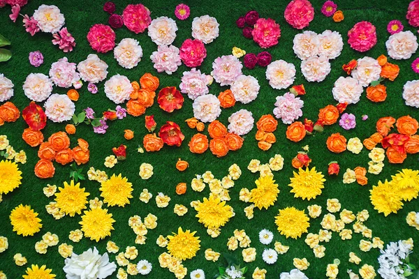 Flores coloridas e grama fundo — Fotografia de Stock