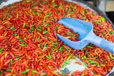 kırmızı biber Satılık