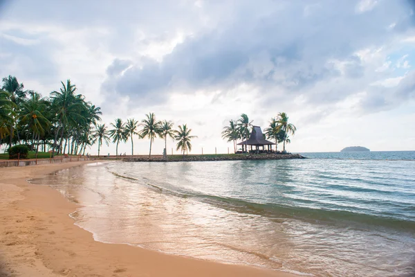 Palmen am Meer — Stockfoto