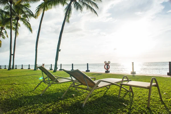 Bleiche Stühle unter der Palme mit Blick auf den Sonnenuntergang — Stockfoto