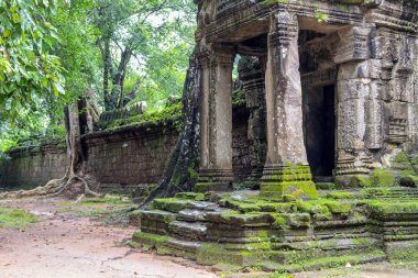 Angkor wat Harabeleri