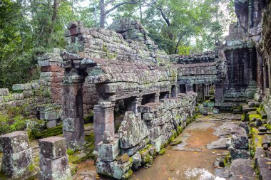 Tapınak kalıntı Angkor Wat alanında