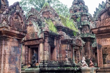 binalar ve Banteay Srei Kamboçya'da sanat