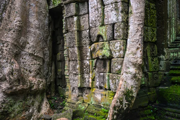 Escultura de piedra y raíces de árbol — Foto de Stock