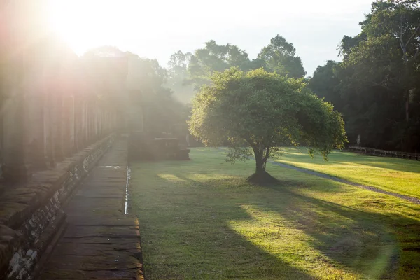 Sunrise in the park — Stock Photo, Image