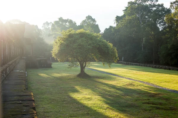 Sunrise in the park — Stock Photo, Image