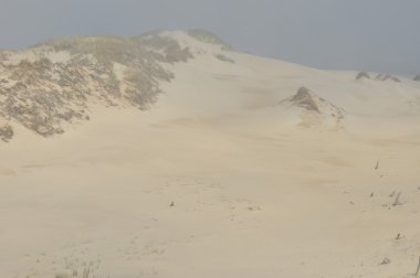 Tepeleri. Çölde kum. Slowinski Milli Parkı, Polonya.