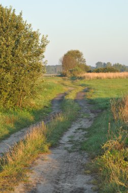 Islak çayırlardan geçen bir köy yolu. Bataklıkta güneşli bir sabah. Gün doğumu.