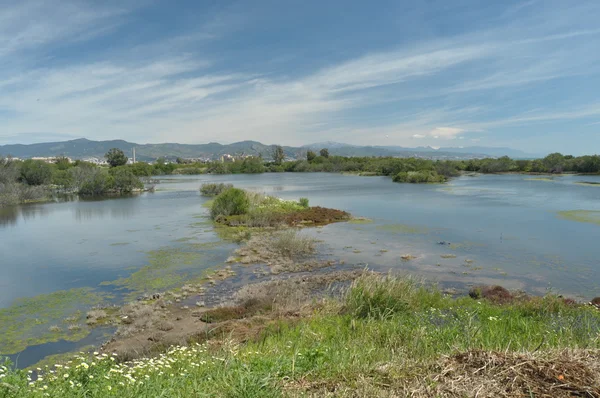 Moerassen, wetlands op de kust van Malaga — Stockfoto