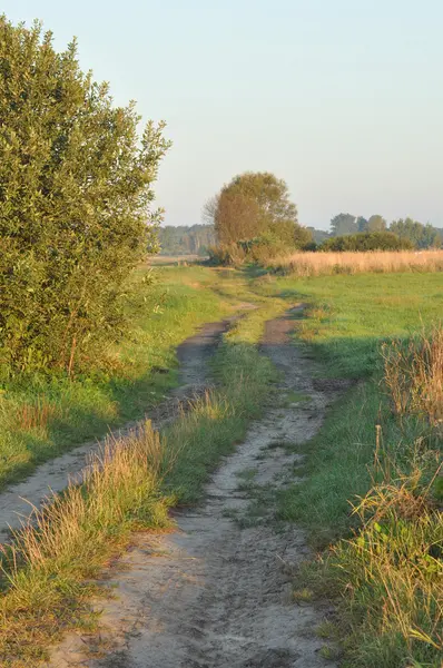 Islak çayırlardan geçen bir köy yolu. Bataklıkta güneşli bir sabah. Gün doğumu.