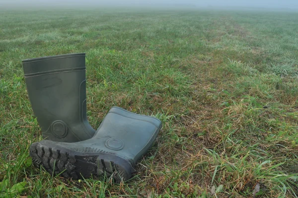 Botas de chuva, botas de borracha em pé num prado molhado. Nevoeiro de manhã — Fotografia de Stock