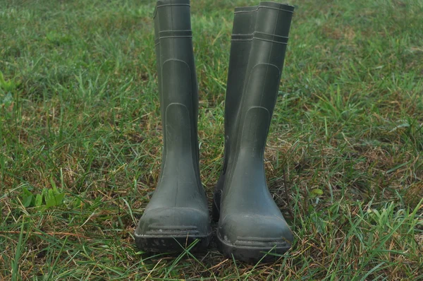 Yağmur botları, ıslak bir çayır üzerinde ayakta lastik çizme. Sabah sis — Stok fotoğraf