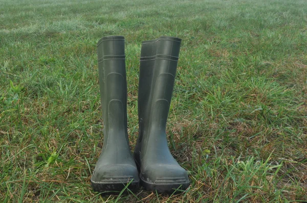 Bottes de pluie, bottes en caoutchouc debout sur un pré humide. Brouillard le matin — Photo