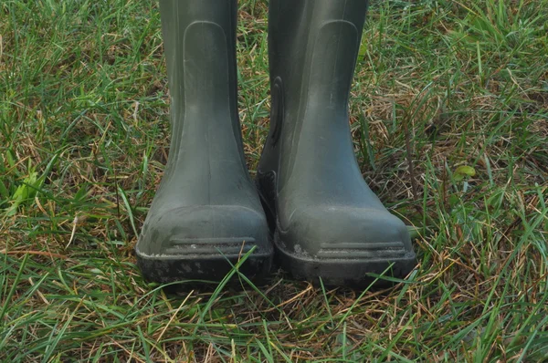 Bottes de pluie, bottes en caoutchouc debout sur un pré humide. Brouillard le matin — Photo