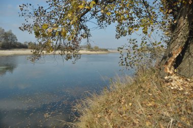Nehrin sabah güçlü bir akım ile. Haliç akan su. Merkez Vistula