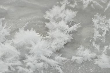 Çizgiler kar. Buz üzerinde kar taneleri. Kış ve frost. buz levha