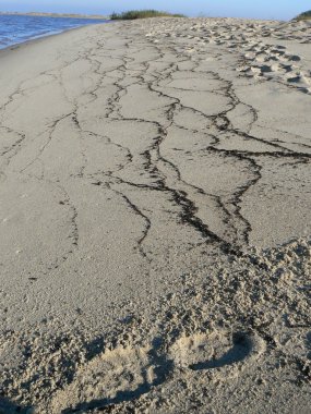 Beach dalga sonra geride desenleri ile. Baltık Denizi