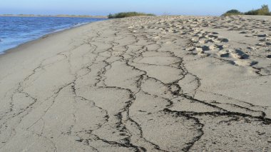 Beach dalga sonra geride desenleri ile. Baltık Denizi