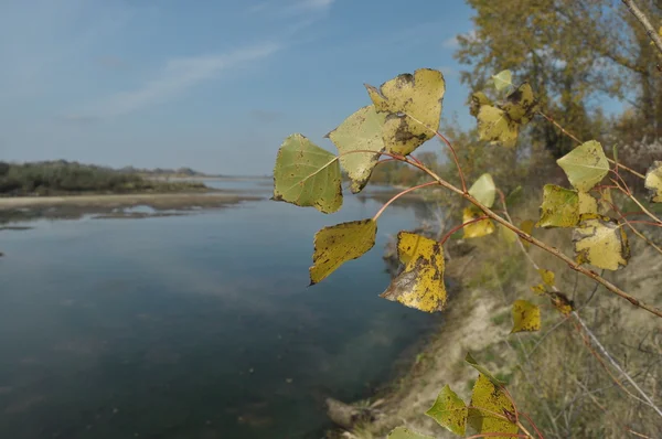 O rio com uma forte corrente da manhã. Água a fluir para o estuário. Vístula central — Fotografia de Stock