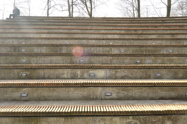 Amphithéâtre. Bancs en bois sertis en cercle de pierre . — Photo