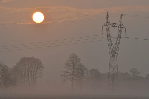 Güneş doğuyor. Güneşli sabah. Yüksek gerilim kabloları ve direkleri.