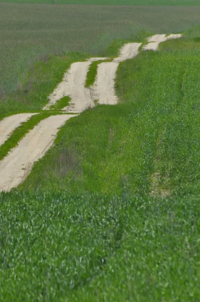 Uma estrada rural através de terras agrícolas. Colinas de areia a caminho. Paisagem rural . — Fotografia de Stock