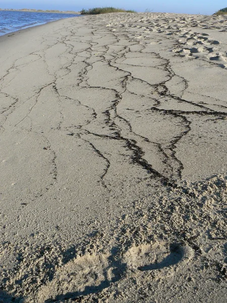 Beach dalga sonra geride desenleri ile. Baltık Denizi