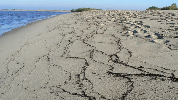 Beach dalga sonra geride desenleri ile. Baltık Denizi