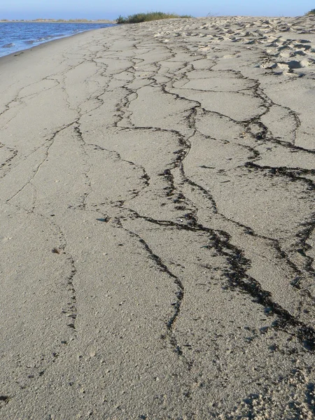 Beach dalga sonra geride desenleri ile. Baltık Denizi