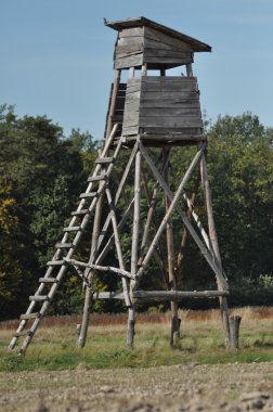 Avlama, minber