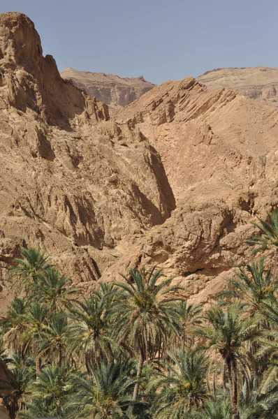 Oasis de Chebika en el sur de Túnez. Las altas temperaturas en el desierto y sin agua . — Foto de Stock