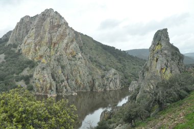 Monfrague Milli Parkı, akbabalar bir koloni taşla. Massif nehrin dibinde akan.