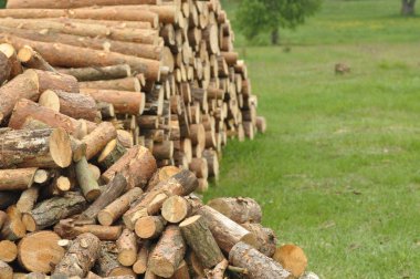 Yakacak odun, kış hazırlıkları