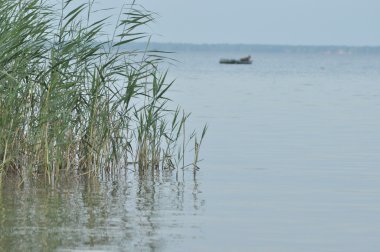 Lake Switaz. Temiz, temiz su. Ukrayna içinde yatsın. Volyn