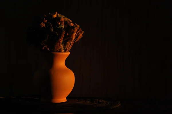 Грудаста з букетом сухого листя, що нагадує троянди, освітлює висхідне сонце . — стокове фото