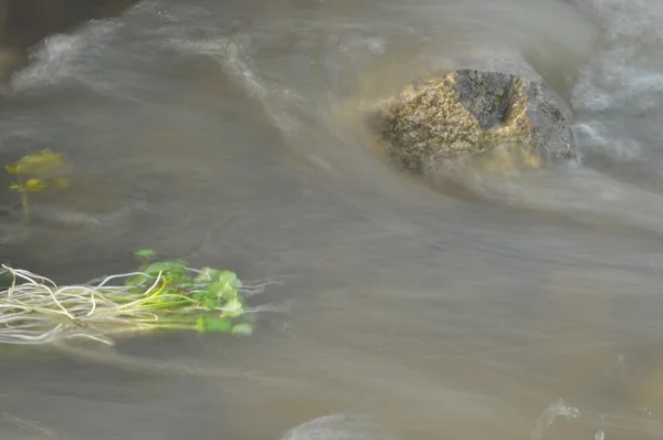 Río inundando la piedra corriente rápida. La roca sumergida en el agua . — Foto de Stock