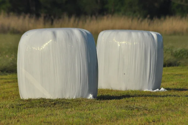 Fardos de feno deitado no prado durante a fabricação de feno. River Valley cercado por prados — Fotografia de Stock