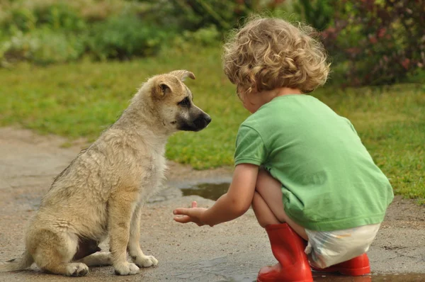 Niño, niño en Wellingtons de goma roja, hablando con el cachorro. Infancia en pañales . —  Fotos de Stock