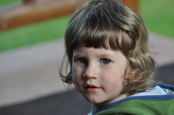 Küçük bir çocuk portresi. Kıvırcık saçlı bir çocuk