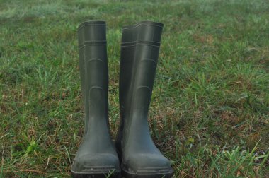 Yağmur botları, ıslak bir çayır üzerinde ayakta lastik çizmeler.