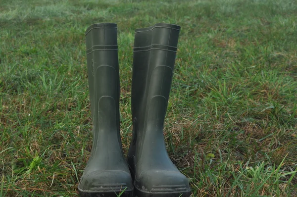 Botas de lluvia, botas de goma de pie en un prado húmedo . —  Fotos de Stock
