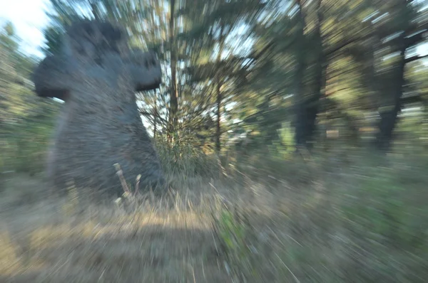 Büyülü bir taşın mermer heykeli. Büyücülük Efsanesi. Geçiş.