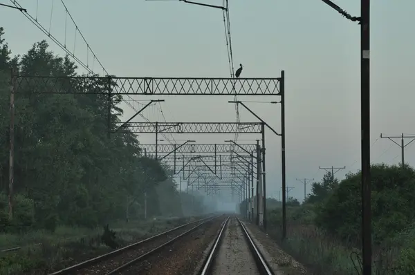 Železniční tratě na nábřeží. Železnice s pylony — Stock fotografie