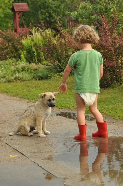 Jongen, kind in rode rubber Wellingtons, praten met de pup. Jeugd in luiers. — Stockfoto